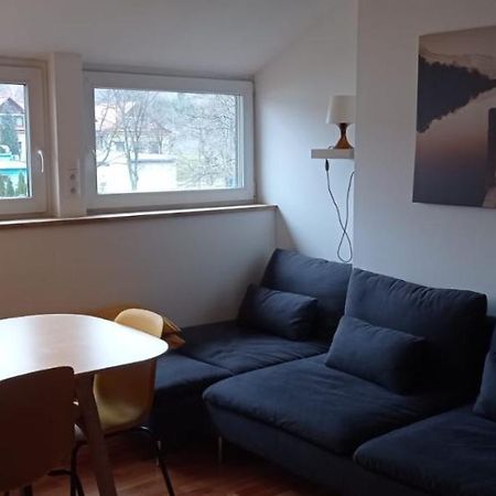Apartment Na Gruszy Stronie Śląskie Dış mekan fotoğraf